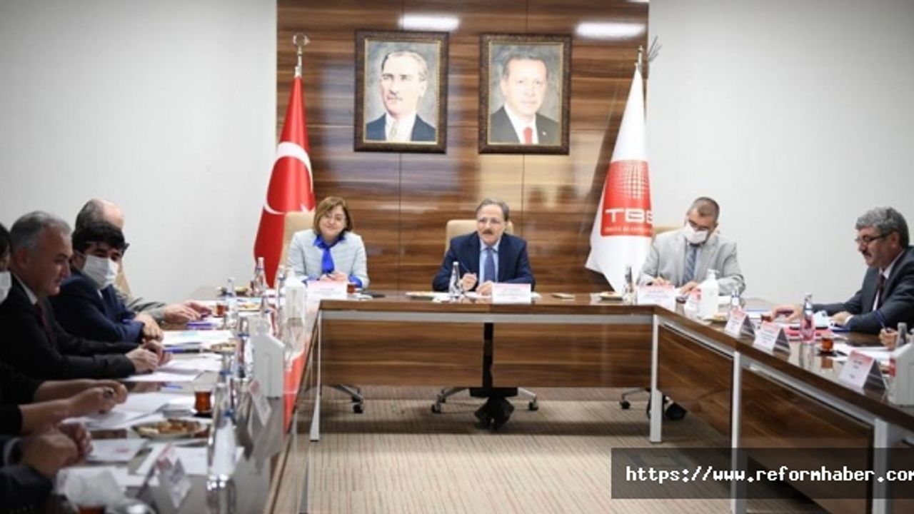 Belediyeler ve STK’lar hayvan hakları için bir araya geldi
