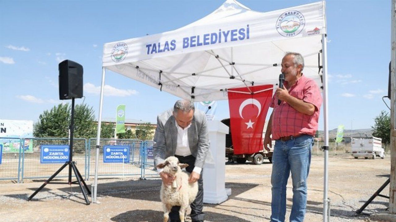 Kayseri Talas'ta hayvancılığa tam destek