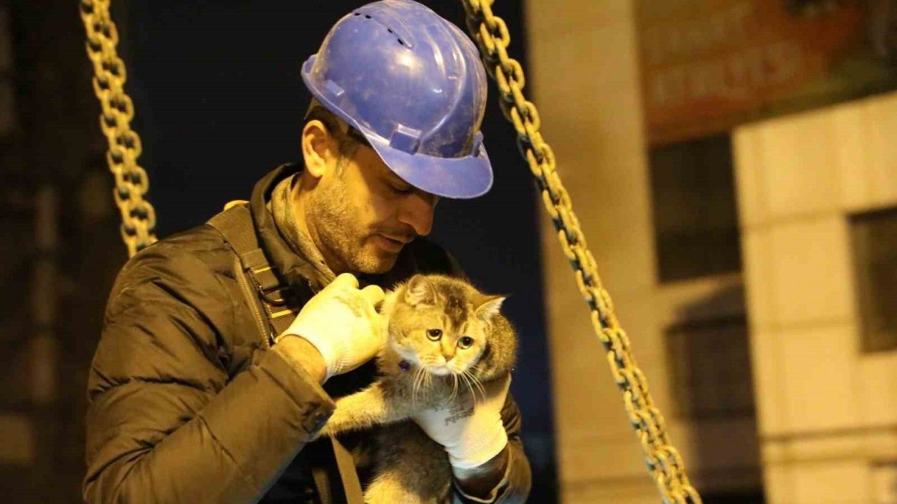 Bravo! Bina enkazının yıkımı durduruldu, "Zena" isimli kedi kurtarıldı