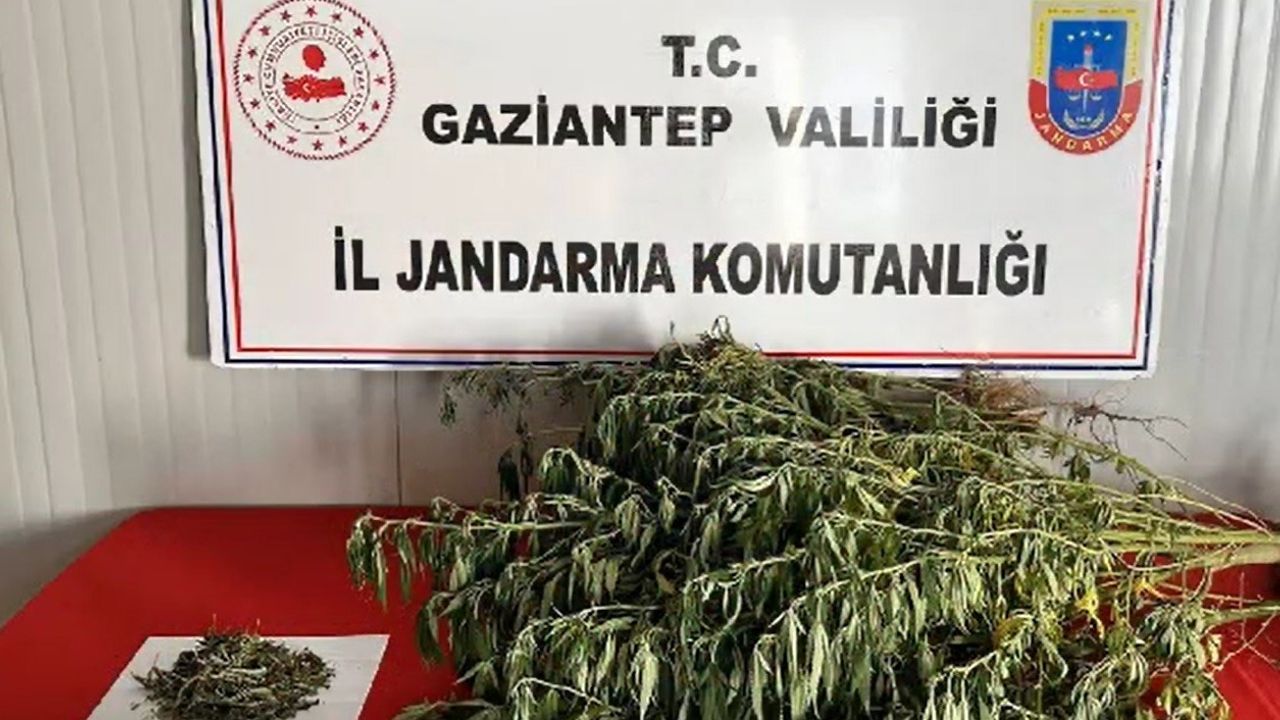 Gaziantep’te Uyuşturucu Operasyonu: 295 Şüpheli Yakalandı