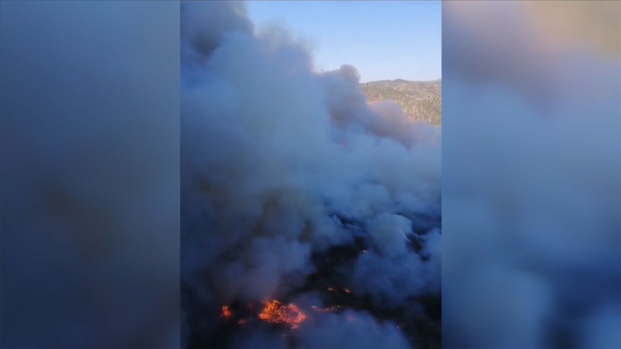 İzmir Menderes'te Orman Yangını Çıktı