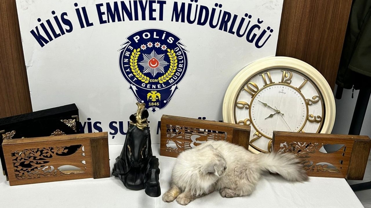 Kilis'te hırsızlık operasyonunda 15 şüpheli yakalandı