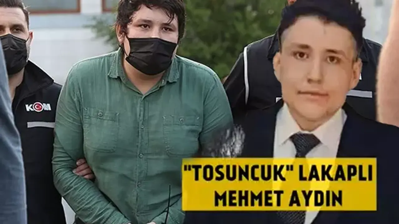 'Tosuncuk' lakaplı Mehmet Aydın hapishaneye girdikten sonra ilk kez konuştu!