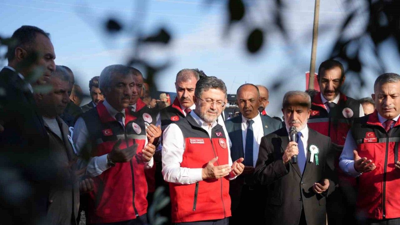 Tarım ve Orman Bakanı Yumaklı Kilis’te zeytin hasadına katıldı