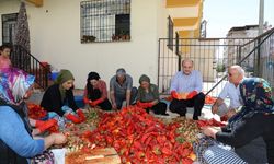 "Gastronomi kenti" Gaziantep'te kadınların salça telaşı