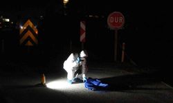 Otomobilin çarptığı 3 çocuk annesi kadın öldü