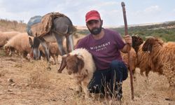 Şahinbey Belediyesi’nin hayat değiştiren projesi