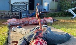 Cadılar Bayramını abartınca! Sanatçının cadılar bayramı dekorasyonuna polis baskını