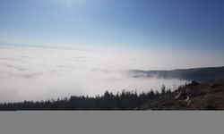 Nurdağı'nda sis etkili oldu