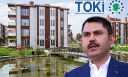 Bakan Kurum açıkladı... TOKİ binaları nasıl sağlam kaldı?