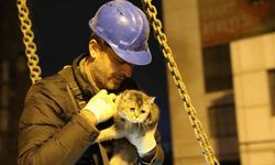 Bravo! Bina enkazının yıkımı durduruldu, "Zena" isimli kedi kurtarıldı