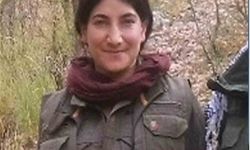 Türkiye’deki sözde en üst düzey terörist Hamiyet Yalçınkaya’nın karanlık geçmişi