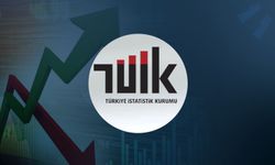 TÜİK, İşsizlik Rakamlarını Açıkladı
