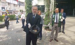 Koronadan Daha Tehlikeli: Her Yıl 8 Milyon İnsan Ölüyor