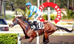 97. Gazi Koşusu’nun kazananı 'Urfa Aslanı' oldu