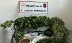 Gaziantep'te Dev Uyuşturucu Operasyonu: 23 Bin Kök Haşhaş Ele Geçirildi