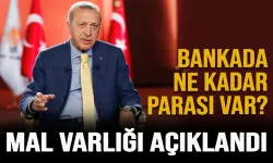 Cumhurbaşkanı Erdoğan'ın güncel mal varlığı açıklandı!