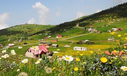 Aman Dikkat! Pikniğe ve yaylalara giden vatandaşlar!