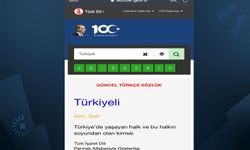 TDK, ‘Türkiyeli’ kelimesi nedeniyle kendi kararı hakkında inceleme başlattı