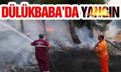 Gaziantep Dülükbaba Ormanlarında yangın!