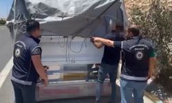 Gaziantep'te 43 Düzensiz Göçmen Yakalandı!