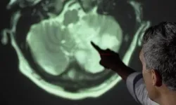 Bilim İnsanları Uyardı!