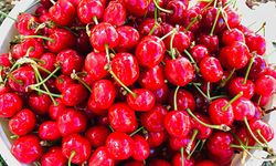 Kiraz Afyonkarahisar’da 35 TL, Almanya’da 11,90 Euro