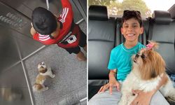VİDEO HABER / Cesur çocuk! Çocuk, tasması asansöre sıkışan köpeğini böyle kurtardı