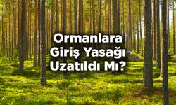 Gaziantep'te Ormanlara Giriş  Yasağı Uzatıldı!