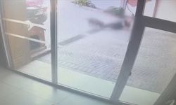 VİDEO HABER | Korkunç Pitbull Saldırısının Görüntüleri Ortaya Çıktı!