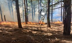 Adana'da Çıkan Orman Yangınına Müdahale Sürüyor