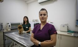 Gaziantep'te 20 Bin Hayvana Kuduz Aşısı Yapıldı
