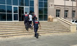 Türkoğlu’ndaki orman yangınında bir kişi gözaltına alındı