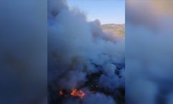 İzmir Menderes'te Orman Yangını Çıktı