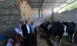 Şahinbey Belediyesi’nin destekleri ile hayvancılık gelişiyor