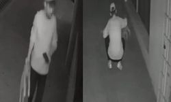 Yavru köpeği öldüren sanık için karar çıktı