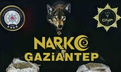 Gaziantep’te 1.5 kilogram skunk ele geçirildi