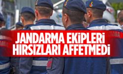 Jandarmanın yakaladığı 43 hırsızlık şüphelisi tutuklandı