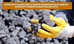 Gaziantep'te Asgari Ücretle yaşayan Vatandaş Bu Kış Ne Yapacak? Gaziantep'te Kömür Ve Odun Fiyatları Uçtu!