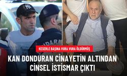 Yaşlı adamı evinde canice öldüren şahıs: Çocukken cinsel istismarda bulunduğu için yaptım
