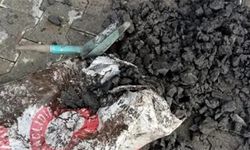 VİDEO HABER / Gaziantep'te Yardım kömürü taş çıktı!