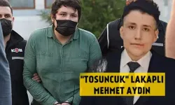 'Tosuncuk' lakaplı Mehmet Aydın hapishaneye girdikten sonra ilk kez konuştu!