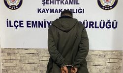 Gaziantep'te 24 Hırsızlık Olayı, 190 Saatlik Kamera İncelemesiyle Aydınlatıldı
