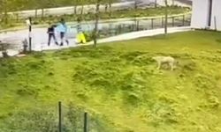 Arıtma Tesisi’nde işlenen korkunç cinayetin görüntüsü ortaya çıktı