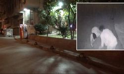 Öldürmeden önce "Sen kafirsin" diye bağırmış