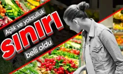 TÜİK açılık ve yoksulluk sınırını açıkladı