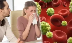 Üst solunum yolu hastaları ile ilgili Uzman'dan bilgi