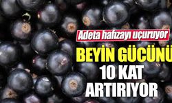 Beyin gücünü 10 kat artırıyor! Adeta hafızayı uçuruyor