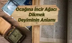 Ocağına incir ağacı dikmek bakın ne anlama geliyor! Evinizin yakınına incir ağacı dikerseniz...
