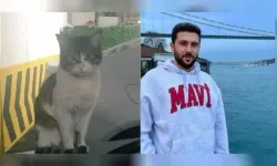 Bakan Tunç: “İstanbul’da canice öldürülen Eros isimli kedinin kamu davası yeniden görülecek”